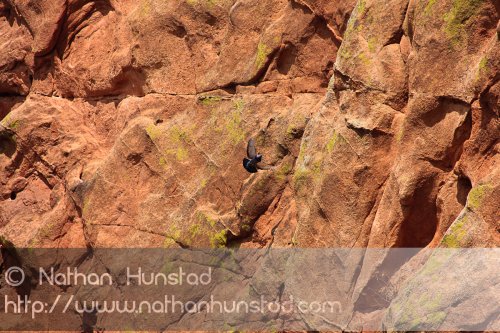 Garden of the Gods Park in Colorado Springs, CO